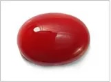 Red Coral